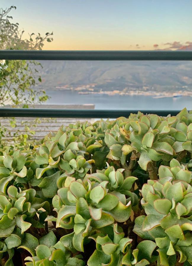 Aggelos And Thisbe Chania Suburbs Sea View Guest House Dış mekan fotoğraf