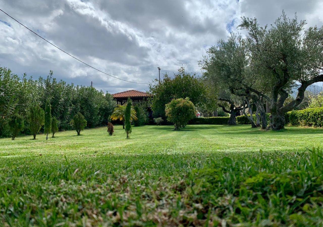 Aggelos And Thisbe Chania Suburbs Sea View Guest House Dış mekan fotoğraf