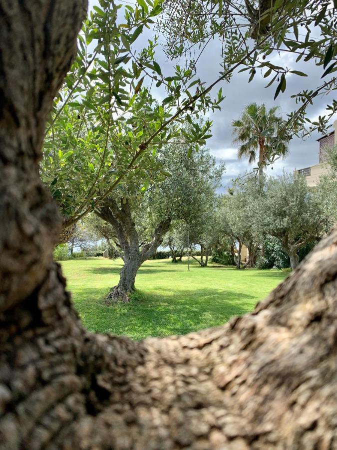 Aggelos And Thisbe Chania Suburbs Sea View Guest House Dış mekan fotoğraf