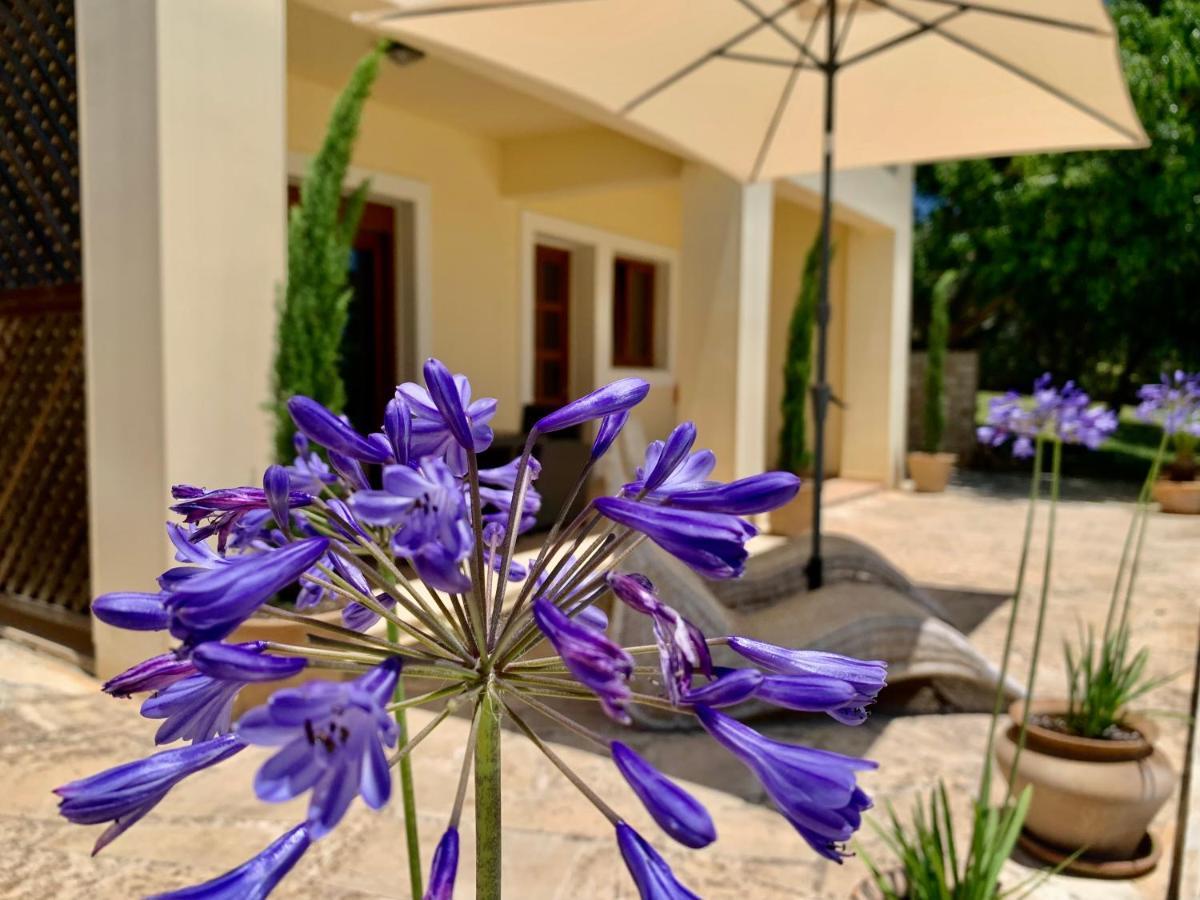 Aggelos And Thisbe Chania Suburbs Sea View Guest House Dış mekan fotoğraf